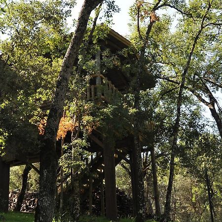 Los Nidos De Santa Maria อาร์โรโยฟรีโอ ภายนอก รูปภาพ